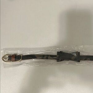 Black and Brown Collar with Gold Buckle